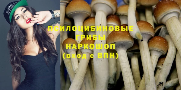 apvp Алзамай