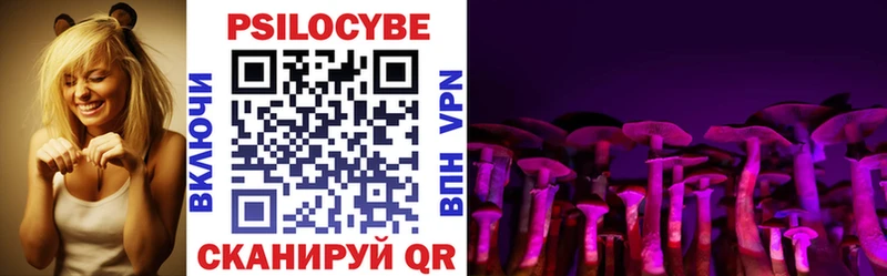 Псилоцибиновые грибы Psilocybine cubensis  где купить   Чишмы 