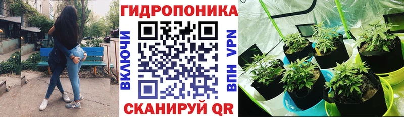 ссылка на мегу зеркало  мориарти формула  Чишмы  Канабис гибрид  даркнет сайт 